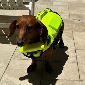 Meet your Posher, Alison